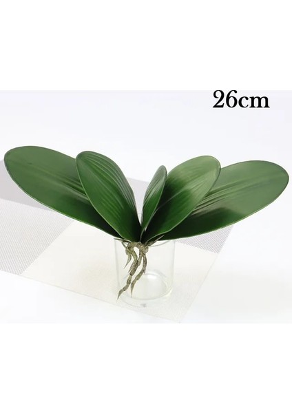 L Beş Yapraklı Simülasyon Bitkileri Phalaenopsis Yaprağı Dekoratif Çiçekler Yardımcı Malzeme Çiçek Dekorasyonu Orkide Yaprakları Mikro Peyzaj Dekoru (Yurt Dışından)