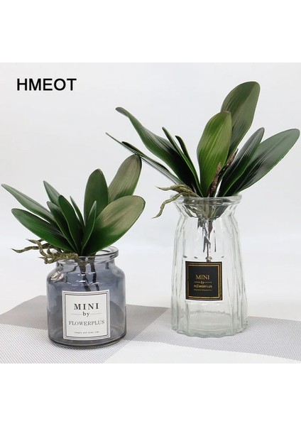 L Beş Yapraklı Simülasyon Bitkileri Phalaenopsis Yaprağı Dekoratif Çiçekler Yardımcı Malzeme Çiçek Dekorasyonu Orkide Yaprakları Mikro Peyzaj Dekoru (Yurt Dışından)