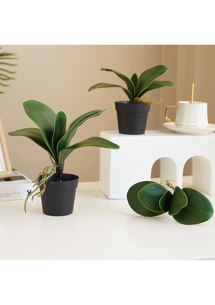 L Beş Yapraklı Simülasyon Bitkileri Phalaenopsis Yaprağı Dekoratif Çiçekler Yardımcı Malzeme Çiçek Dekorasyonu Orkide Yaprakları Mikro Peyzaj Dekoru (Yurt Dışından)