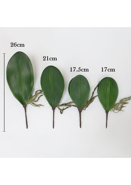 L Beş Yapraklı Simülasyon Bitkileri Phalaenopsis Yaprağı Dekoratif Çiçekler Yardımcı Malzeme Çiçek Dekorasyonu Orkide Yaprakları Mikro Peyzaj Dekoru (Yurt Dışından)