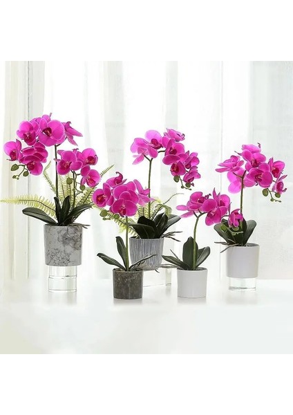 L Beş Yapraklı Simülasyon Bitkileri Phalaenopsis Yaprağı Dekoratif Çiçekler Yardımcı Malzeme Çiçek Dekorasyonu Orkide Yaprakları Mikro Peyzaj Dekoru (Yurt Dışından)