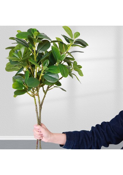 Ev Dekoru Için Ficus Dekoratif Yapay Ficus Bitkileri Iç Estetik Için Uzun Dallı Sahte Yeşillik (Yurt Dışından)