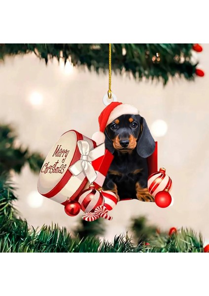 Bir 2d Uçaklar Noel Köpekler Damla Süsleme Çift Taraflı Düzlem Akrilik Noel Ağacı Asılı Dekorasyon Pencere Kapı Parti Dekorasyon (Yurt Dışından) fiyatları