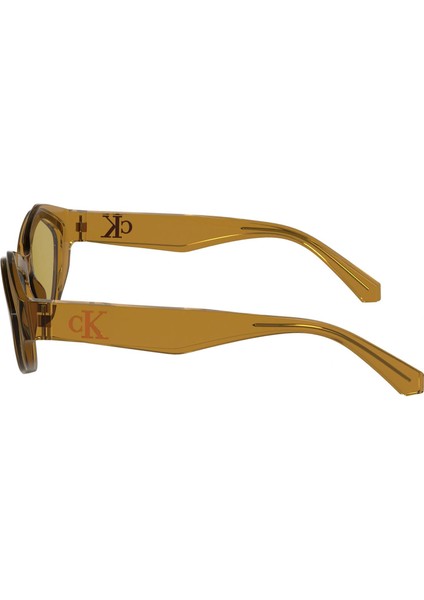 CKJ24621S 618 53 Kadın Güneş Gözlüğü modelleri