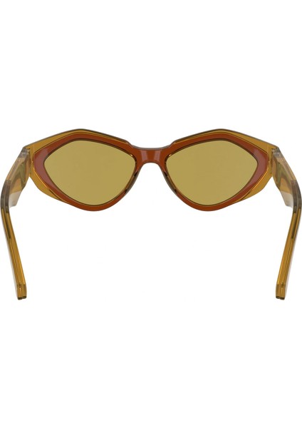 CKJ24621S 618 53 Kadın Güneş Gözlüğü fırsatları