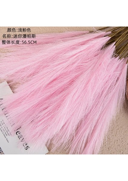 Açık Pembe 1pc 1/5/10/20PCS 55 cm Mini Sahte Pampas Çim Yapay Görkemli Çim Vazo Dolgu Çiçek Ev Oturma Odası Mutfak Düğün Boho Dekor (Yurt Dışından)