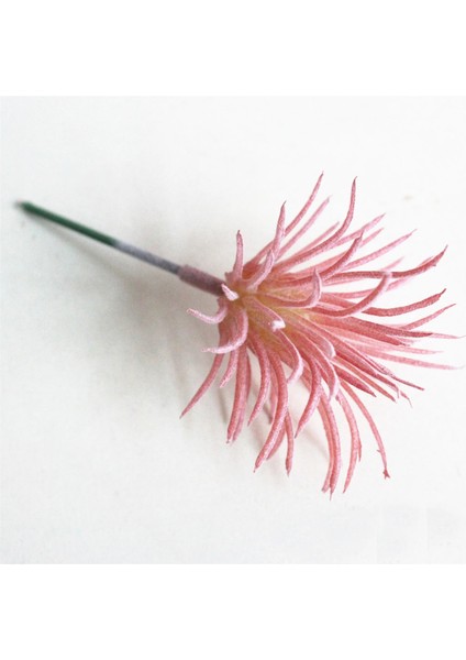 x iao Shui Lian Pembe 5x8 cm Yeşil Pembe Akın Sahte Bitkiler Yapay Etli Bitkiler Çiçek Aranjmanı Aksesuarları Ev Bahçe Düğün Dekorasyon (Yurt Dışından)