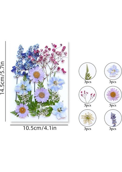 Mix 2 100/200 Adet Kurutulmuş Çiçekler Brezilya Küçük Yıldız Çiçek Dıy Zanaat Epoksi Reçine Mum Tırnak Sanat Epoksi Reçine Dolum Takı Yapımı (Yurt Dışından)