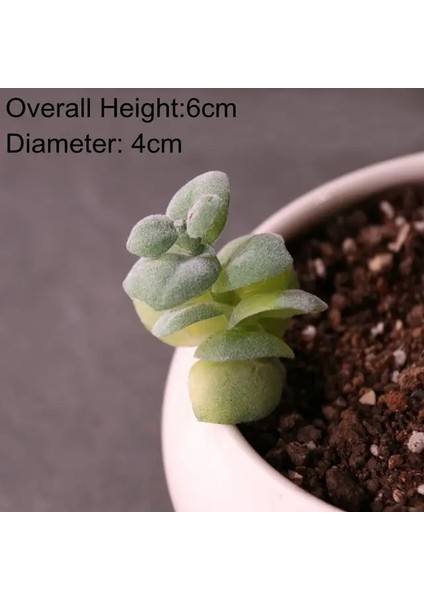 Fg x iao Dou Lian Yapay Succulents Bitkiler Ev Bahçe Yatak Odası Oturma Odası Ofis Dekorasyon Aksesuarları Sahte Bitkiler Masaüstü Mini Küçük Bonsai (Yurt Dışından)