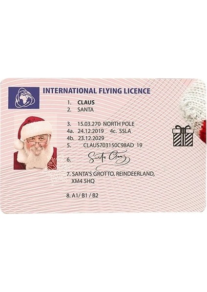 Bir 1 Adet 1/5/10 Adet Yaratıcı Noel Baba Uçuş Lisansı Noel Arifesi Ehliyet Çocuklar Için Noel Hediyeleri Çocuk Noel Ağacı Dekor (Yurt Dışından)
