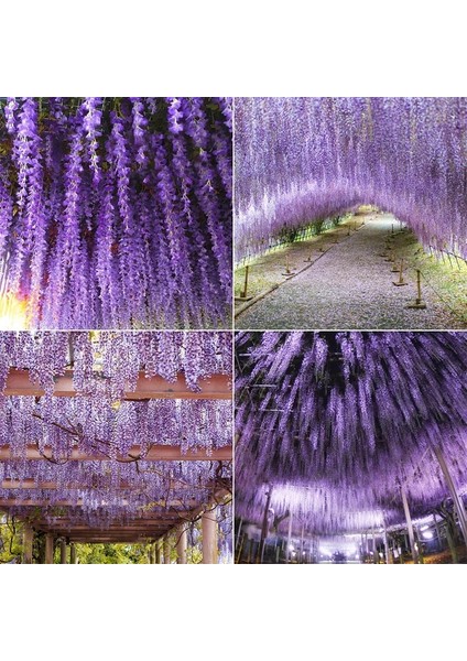 Kırmızı Wisteria Vine Yapay Çiçekler Asılı Çelenk Düğün Kemer Duvar Dekorasyonu Ev Bahçe Partisi Dekoru Için Dıy Sahte Çiçek Bitkiler (Yurt Dışından)