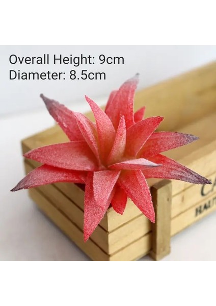 x iao Zui Lu Hui Yapay Kırmızı Akın Etli Bitkiler Dıy Ev Bahçe Ofis Düğün Dekorasyon Mini Bonsai Plante Artificielle (Yurt Dışından)