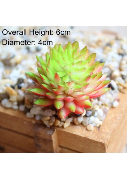 Qiuse x ianrenzhi Yapay Yeşil Mor Kırmızı Mavi Etli Bitkiler Ev Bahçe Düğün Dekorasyon Mini Masaüstü Bonsai Dıy Plante Artificielle (Yurt Dışından)