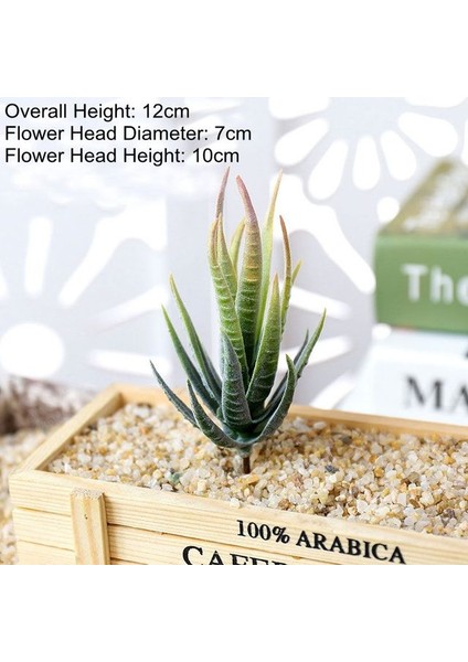 Sarı Banmaluhui Yeşil Pembe Sarı Zebra Aloe Yapay Sulu Meyveler Bitkiler Ev Bahçe Dekorasyonu Dıy Bitkiler Duvar Plastik Sahte Bitkiler Yükseklik = 12 cm (Yurt Dışından)