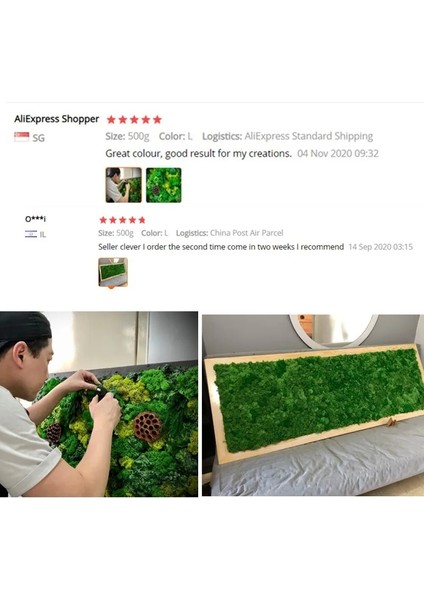 17 20G 50 G/torba Yapay Yeşil Bitkiler Ebedi Yaşam Yosun Çim Ev Oturma Odası Bahçe Dekorasyon Mini Peyzaj Sahte Çiçek Dıy El Sanatları (Yurt Dışından)