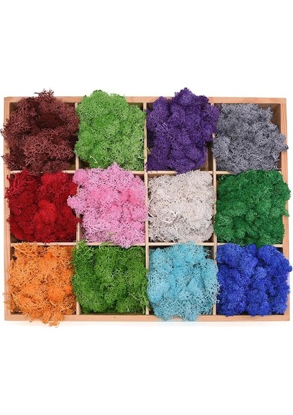 17 20G 50 G/torba Yapay Yeşil Bitkiler Ebedi Yaşam Yosun Çim Ev Oturma Odası Bahçe Dekorasyon Mini Peyzaj Sahte Çiçek Dıy El Sanatları (Yurt Dışından)