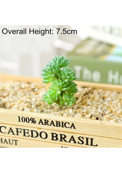 Fg Bo x ue Cao Yeşil Pembe Sarı Zebra Aloe Yapay Sulu Meyveler Bitkiler Ev Bahçe Dekorasyonu Dıy Bitkiler Duvar Plastik Sahte Bitkiler Yükseklik = 12 cm (Yurt Dışından)