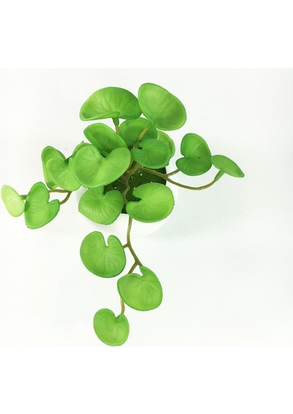 Qian Tongqian 15 cm Yapay Bitkiler Yapraklar Sahte Çim Buketi Yeşil Bitkiler Yapraklar Tropikal Ağaç Yaprakları Ev Bonsai Için Şanslı Çim Yeşillik (Yurt Dışından)