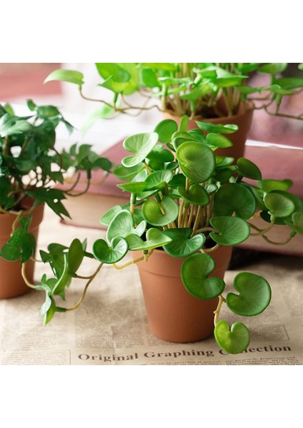 Qian Tongqian 15 cm Yapay Bitkiler Yapraklar Sahte Çim Buketi Yeşil Bitkiler Yapraklar Tropikal Ağaç Yaprakları Ev Bonsai Için Şanslı Çim Yeşillik (Yurt Dışından)