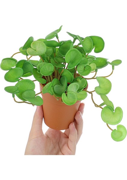 Qian Tongqian 15 cm Yapay Bitkiler Yapraklar Sahte Çim Buketi Yeşil Bitkiler Yapraklar Tropikal Ağaç Yaprakları Ev Bonsai Için Şanslı Çim Yeşillik (Yurt Dışından)
