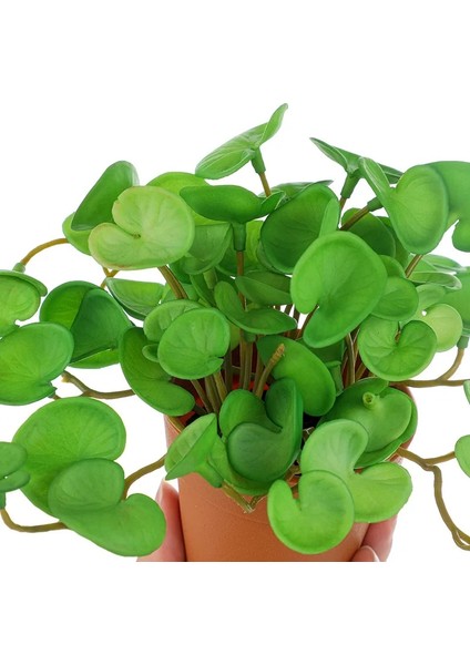 Qian Tongqian 15 cm Yapay Bitkiler Yapraklar Sahte Çim Buketi Yeşil Bitkiler Yapraklar Tropikal Ağaç Yaprakları Ev Bonsai Için Şanslı Çim Yeşillik (Yurt Dışından)