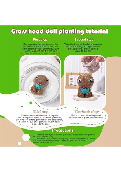 Sulama Kutusu Mini Çim Kafa Bebek Küçük Saksı Bitki Ev Dekor Sulama Yeşil Bitkiler Güzel Çocuk Hediyeler Kapalı Balkon Saksı Yetiştiricilerinin (Yurt Dışından)