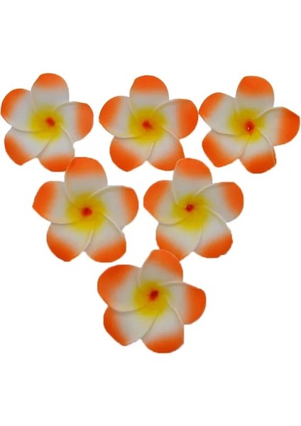 H15 5 cm 10 Adet/grup 5-9 cm Hawaii Frangipani Pe Köpük Yapay Çiçek Dıy Çelenk Headdress Çiçekler Düğün Dekorasyon Parti Malzemeleri (Yurt Dışından)