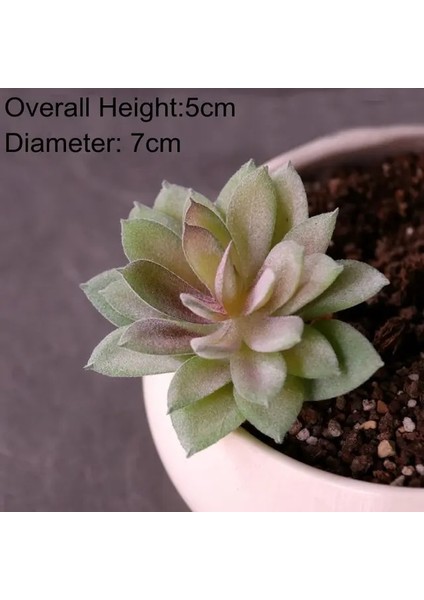 Fg Di Shui Lian Yapay Succulents Bitkiler Beyaz Pembe Yeşil Plastik Sahte Bitkiler Peyzaj Bonsai Plantas Artificiales Ev Bahçe Dekorasyonu (Yurt Dışından)