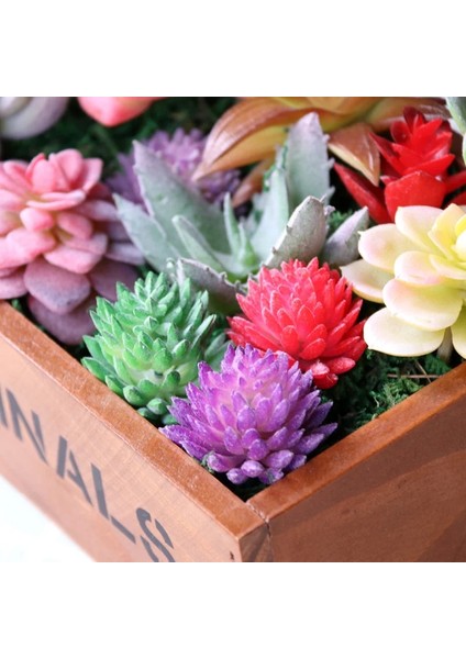 Bei Hua Kırmızı Akın Yapay Succulents Bitkiler Masaüstü Masa Yatak Odası Ofis Mini Bonsai Süs Sahte Bitkiler Ev Bahçe Dekorasyonu (Yurt Dışından)