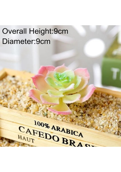 Bei Hua Kırmızı Akın Yapay Succulents Bitkiler Masaüstü Masa Yatak Odası Ofis Mini Bonsai Süs Sahte Bitkiler Ev Bahçe Dekorasyonu (Yurt Dışından)