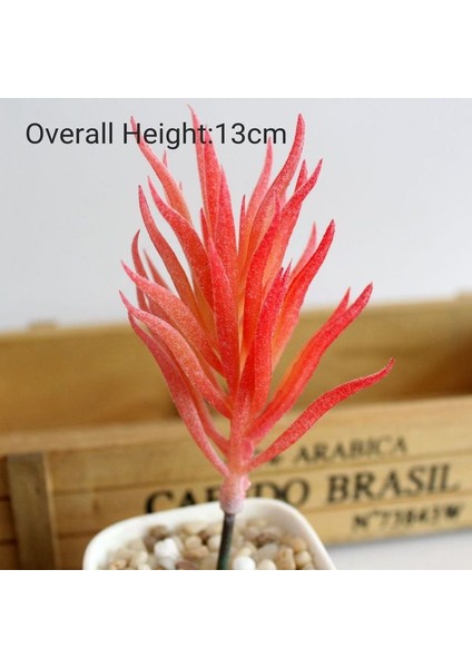 x iao Lan Cao 1 Adet Mini Bonsai Plante Artificielle Ev Bahçe Ofis Düğün Dıy Dekorasyon Yapay Kırmızı Akın Etli Bitkiler (Yurt Dışından)