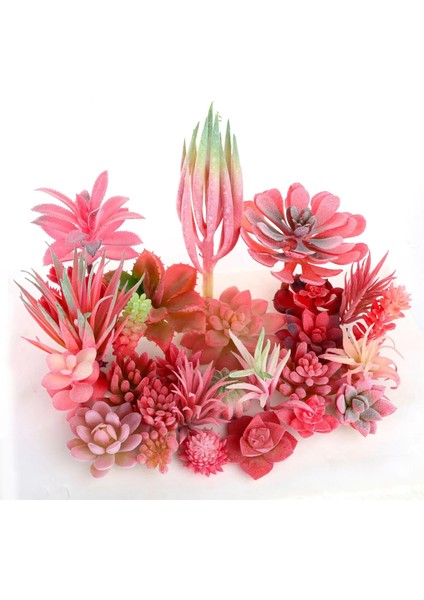 x iao Lan Cao 1 Adet Mini Bonsai Plante Artificielle Ev Bahçe Ofis Düğün Dıy Dekorasyon Yapay Kırmızı Akın Etli Bitkiler (Yurt Dışından) modelleri