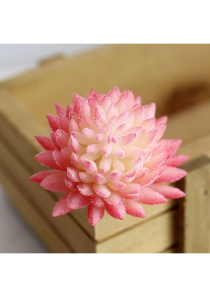 x iao Lan Cao 1 Adet Mini Bonsai Plante Artificielle Ev Bahçe Ofis Düğün Dıy Dekorasyon Yapay Kırmızı Akın Etli Bitkiler (Yurt Dışından) fırsatları