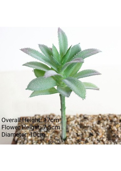 Uzun O Lan Yeşil Akın Yapay Succulents Bitkiler Ev Bahçe Dekorasyonu Çiçek Aranjmanı Banyo Aksesuarları Planta Yapay (Yurt Dışından)