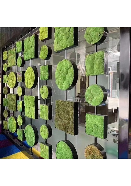 Y05 20 Gram 40/20G Yapay Ölümsüz Yosun Yeşil Sahte Bitki Ev Bahçe Oturma Odası Yeşillendirme Dekor Duvar Dolgu Çiçek Bitki Sahte Yosun (Yurt Dışından) indirimleri