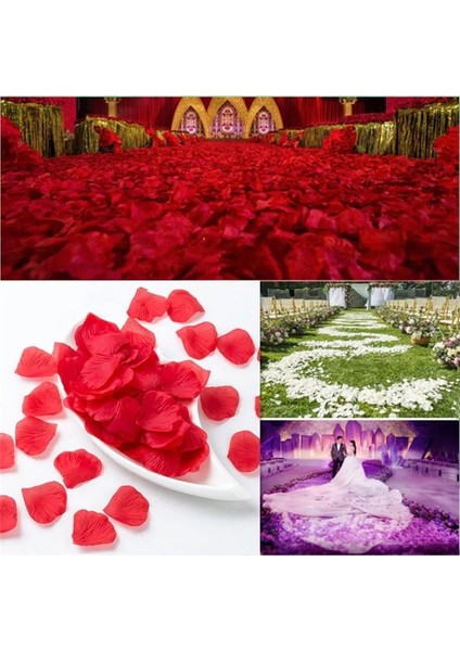 Şampanya Pembesi 100 Adet 100/500/1000 Adet Yapay Gül Yaprakları Romantik Yapay Çiçek Ipek Yaprakları Sevgililer Günü Düğün Çiçek Petal Dekorasyon (Yurt Dışından)