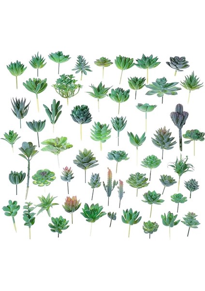 Fo Shou Cao Küçük Orta Büyük Yeşil Akın Yapay Succulents Bitkiler Ev Yatak Odası Oturma Odası Masaüstü Dekorasyon Sahte Bitkiler Bonsai (Yurt Dışından) fiyatları