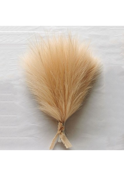 Açık Kahverengi 30 Adet 10/30 Adet Kabarık Pampas Çim Yapay Çiçekler Dekorasyon Düğün Için Boho Buket Parti Ev Vazo Dekor Sahte Bitki Kamış Çiçek (Yurt Dışından)