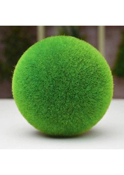 Stil 1 Yaratıcı Yeşil Simülasyon Saksı Bitkileri Akın Aşk Beş Köşeli Yıldız Küçük Bonsai Çim Topu Ev Dekorasyonu Süsler Hediye (Yurt Dışından) fırsatları