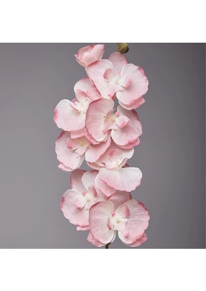 Stil 3 8 Kafaları Yapay Kelebek Orkide Sahte 3D Phalaenopsis Simülasyon Çiçek Gerçek Dokunmatik Bitkiler Düğün Ev Noel Dekorasyon (Yurt Dışından)