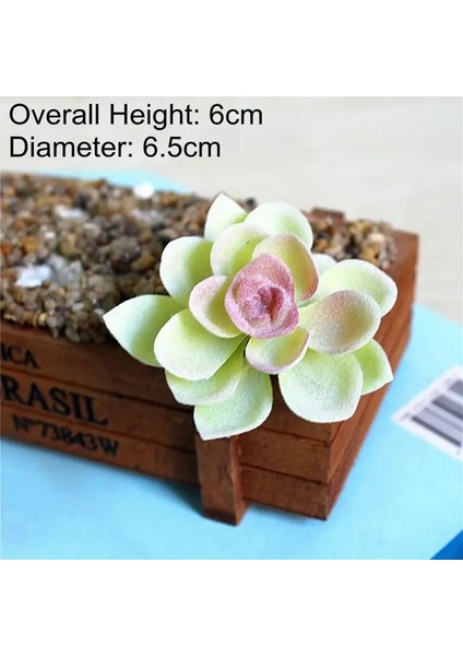 Bao Lian Hua 1 Adet Beyaz Akın Yapay Succulents Bitkiler Çiçek Aranjmanı Aksesuarları Masaüstü Bonsai Ev Bahçe Dekorasyonu Sahte Bitkiler (Yurt Dışından)