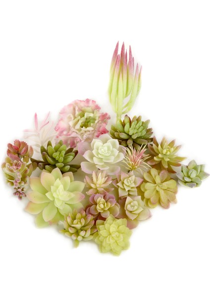 Bao Lian Hua 1 Adet Beyaz Akın Yapay Succulents Bitkiler Çiçek Aranjmanı Aksesuarları Masaüstü Bonsai Ev Bahçe Dekorasyonu Sahte Bitkiler (Yurt Dışından)