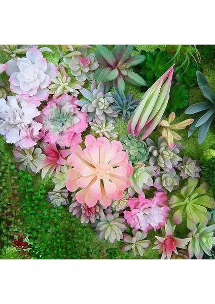 Bao Lian Hua 1 Adet Beyaz Akın Yapay Succulents Bitkiler Çiçek Aranjmanı Aksesuarları Masaüstü Bonsai Ev Bahçe Dekorasyonu Sahte Bitkiler (Yurt Dışından)