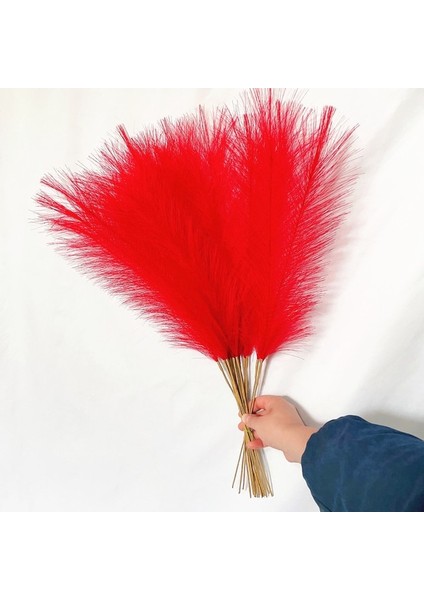 Kırmızı 55 cm 20PCS 5/10/20PCS 55 cm Yapay Pampas Çim Sahte Görkemli Çim Vazo Dolgu Çiçek Ev, Oturma Odası, Mutfak, Parti, Boho Dekor Için (Yurt Dışından)