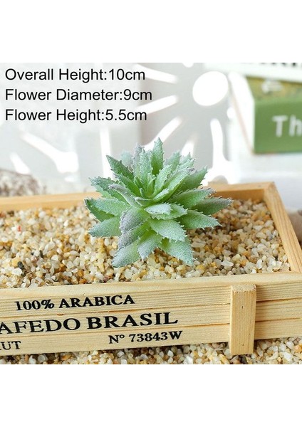 Dahao Daicixiaoluhui Küçük Orta Büyük Yeşil Akın Yapay Sulu Meyveler Bitkiler Ev Yatak Odası Oturma Odası Masaüstü Dekorasyon Sahte Bitkiler Bonsai (Yurt Dışından)