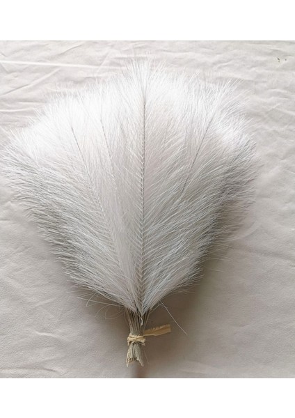 Beyaz 42 cm 10 Adet 20/10 Adet Yapay Pampas Çim, Kabarık Sahte Pampas Çim Dekor Vazo Sahte Çiçekler Boho Düğün Dekor, Iç Dekorasyon (Yurt Dışından)