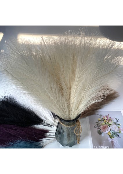 Beyaz 42 cm 10 Adet 20/10 Adet Yapay Pampas Çim, Kabarık Sahte Pampas Çim Dekor Vazo Sahte Çiçekler Boho Düğün Dekor, Iç Dekorasyon (Yurt Dışından) fiyatları