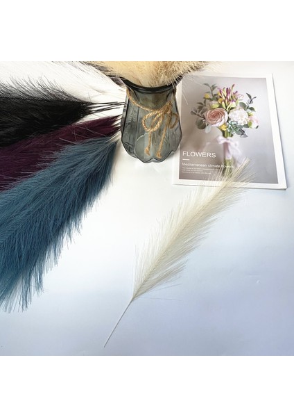 Beyaz 42 cm 10 Adet 20/10 Adet Yapay Pampas Çim, Kabarık Sahte Pampas Çim Dekor Vazo Sahte Çiçekler Boho Düğün Dekor, Iç Dekorasyon (Yurt Dışından) indirimleri