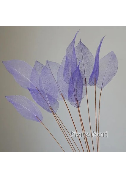 Açık Mor 5 Adet (45-50 cm ) Ev Dekorasyon Lucency Yapraklar Doğal Yaprak Damar Ölümsüz Yapay Çiçekler Düğün Masa Dekorasyon Tel Kök (Yurt Dışından)