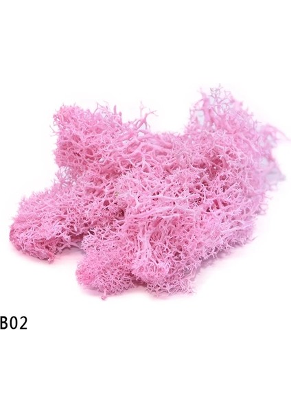 B02 20G 20-40G Yapay Doğal Bitki Ebedi Yaşam Moss Mini Mikro Peyzaj Dekor Aksesuarları Ev Bahçe Süs Dıy Çiçekler El Sanatları (Yurt Dışından)
